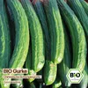 Samenliebe  Gurke Samen | Chinesische Schlangengurke - sehr Produktbild-Vorschau 4