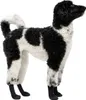Goo-eez Chaussures pour chiens Lites camoflage/noir - pack Voir les images du produit 2