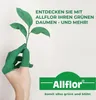 Allflor Rasenkalk, fein gekörnt, 20kg, mineralischer Kalk Produktbild-Vorschau 5