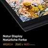 XPPen Artist PRO 16 Gen.2 Display grafico da 16'' Stilo X3 Anteprima dell’immagine prodotto 17
