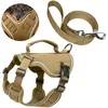 Hundegeschirr mit Leine, X-Design, verstellbar, kein Produktbild-Vorschau 1
