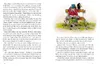 Die kleine Hexe, kolorierte Ausgabe Produktbild-Vorschau 5