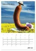 Ist mir Wurst Kalender (Wandkalender 2027 DIN A3 hoch), Produktbild-Vorschau 10