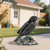 Klemmbausteine Vogelmodell Baukasten für Erwachsene Produktbild-Vorschau 4