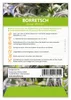 Artikelbild 2 von 'Borretsch' aus der Kategorie Borretschsamen Produktbild-Vorschau