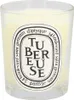 Diptyque Tubereuse Scented Candle Voir les images du produit 2