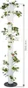 Gusta Garden SISSI STRAWBERRY Infinity samozavlažovací Náhled obrázku produktu 5