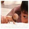 Schleich Leone africano Anteprima dell’immagine prodotto 12