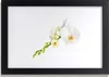 Bild 30x20 MDF-Rahmen Wandkunst Blumen Pflanzen Natur Produktbild-Vorschau 1