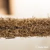 Erdbeermatte in 0,5m Br. (Meterware) 800g/m² einseitig mit Produktbild-Vorschau 10