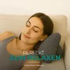 A woman is sleeping on a couch with a pillow supporting her neck. Produktbild-Vorschau