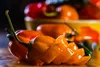 SAFLAX - Geschenk Set - BIO - Chili - Habanero Orange - 20 Produktbild-Vorschau 8