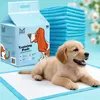 Hygienické podložky pre domáce zvieratá Výcvikové podložky Náhľad obrázku produktu 20