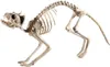 Scheletro di gatto - Decorazione horror per Halloween Anteprima dell’immagine prodotto 1