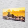 Glasbilder 100x50 Wandkunst Deer Winter Sonnenaufgang Produktbild-Vorschau 2