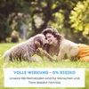 Futeco® – HB-Nematoden gegen Dickmaulrüssler & Engerlinge – Produktbild-Vorschau 6