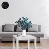 Eucalyptus Fleurs Séchées Durabilité Eternelle Bouquet de Voir les images du produit 5