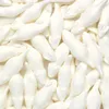 Haribo Weisse Mäuse 3 kg Produktbild-Vorschau 4