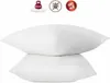 2er-Set Abeil-Kissen 60 x 60 cm (2 Stück) Produktbild-Vorschau 1