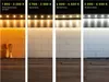 LED Solution COB LED pásik 8W/m 12V bez krytia IP20 Farba Náhľad obrázku produktu 6