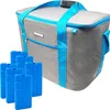 ToCi 36 Liter Kühltasche Isoliertasche Grau Thermotasche Produktbild-Vorschau 1