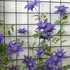 Purple clematis flowers climbing on a black grid against a textured white wall. Anteprima dell’immagine prodotto