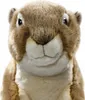 A close-up studio shot of a stuffed animal. Náhľad obrázku produktu