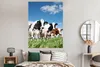 MuchoWow® Poster Kühe - Landleben - Weide - Natur - Tiere Produktbild-Vorschau 4