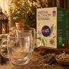 El Greco Kräutertee mit Anis vor Gläsern und Kräutern Produktbild-Vorschau