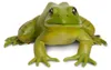 Safari Ltd Amerikanische Ochsenfroschfigur Grün From 3 Produktbild-Vorschau 3