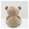 Woopie Baby 2-in-1 teddybeer slaapspeelgoedprojector - 10 Productafbeelding-voorbeeld 4