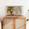 vidaXL Terrario con contenitore trasparente 60 x 40 x 40 cm Anteprima dell’immagine prodotto 4