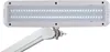 MAUL lampe de table MAULintro LED 6.500 K dimmable pied à Voir les images du produit 2