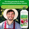 Purgrün Geraniendünger 1 Liter Produktbild-Vorschau 2
