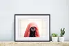 MuchoWow® MuchoWow® Gerahmtes Poster Hund mit einem roten Produktbild-Vorschau 6