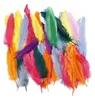 folia Indianerfedern 100 g farbig sortiert Produktbild-Vorschau 6