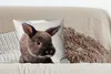 MuchoWow® Zierkissen Sofakissen Wohnzimmer Dekokissen 50x50 Produktbild-Vorschau 4