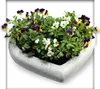 Pflanzschale Herz Pflanzgefäss, Gartenschale, Dekoration, Produktbild-Vorschau 3