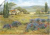 ARTland Poster Provence Lavendelwiese Größe: 70x50 cm Produktbild-Vorschau 1