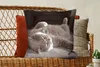 MuchoWow® Zierkissen Sofakissen Wohnzimmer Dekokissen 60x60 Produktbild-Vorschau 5