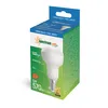 A product box for a Spectrum LED light bulb. Anteprima dell’immagine prodotto