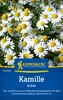 Kiepenkerl Kamillesamen Echte Matricaria chamomilla 200 Produktbild-Vorschau 1