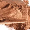 Argilla per terrari da modellare. Substrato, fondo 2 kg Anteprima dell’immagine prodotto 3