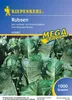 Kiepenkerl Saatgut Rübsen Brassica rapa var. silvestris 1 Produktbild-Vorschau 1