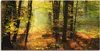 ARTland Leinwandbild Herbstlicht im Wald Größe: 60x30 cm Produktbild-Vorschau 1