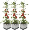 Gusta Garden TOM TOMATO 3er-Set, hellgrau Produktbild-Vorschau 1
