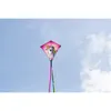 Cerf-volant monoligne Eddy Unicorn 68 cm rose Voir les images du produit 7