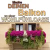 BigDean Blumenkastenhalterung 2 Stück Anthrazit für Balkon Produktbild-Vorschau 6
