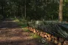Abdeckplane Camouflage Plane 3x3m 90g/m^2 Bushcraft Produktbild-Vorschau 4
