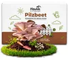 Hawlik Pilzbrut Austernpilz Pilzbeet-Set – Pilzzucht Produktbild-Vorschau 1